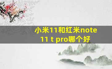 小米11和红米note11 t pro哪个好